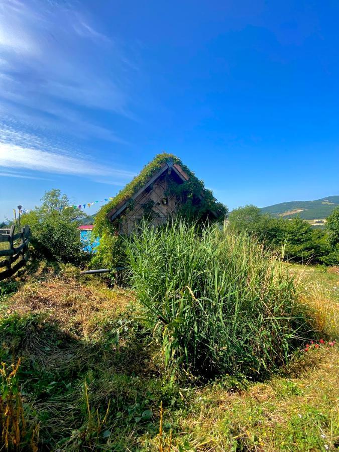 Вілла La Colline Seive Boulieu-les-Annonay Екстер'єр фото